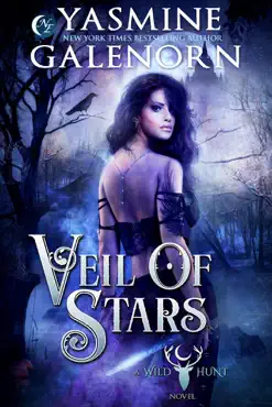 veil of stars book cover image