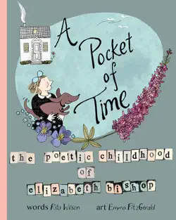 a pocket of time book cover image