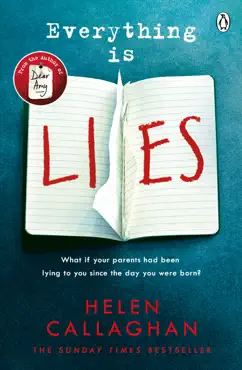 everything is lies imagen de la portada del libro