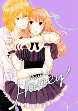 maid in honey volume 2 book cover image