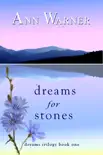 Dreams for Stones synopsis, comments