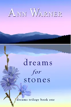dreams for stones book cover image