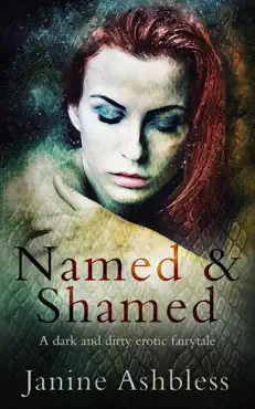 named and shamed imagen de la portada del libro