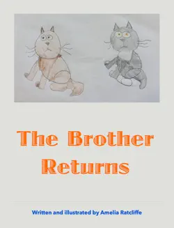 the brother returns book cover image