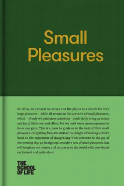 small pleasures book cover image