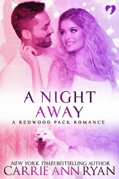 a night away book cover image