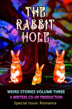the rabbit hole book cover image