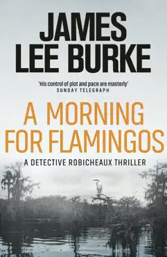 a morning for flamingos book cover image