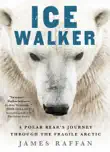 Ice Walker synopsis, comments