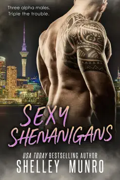 sexy shenanigans book cover image