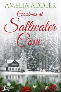 christmas at saltwater cove book cover image
