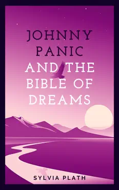 johnny panic and the bible of dreams book cover image