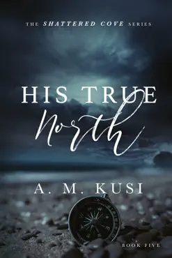 his true north - an amnesia romance novel book cover image