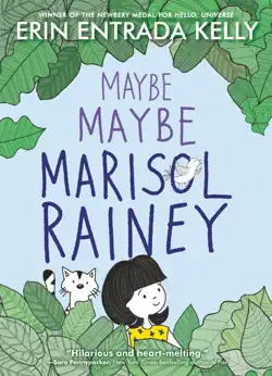 maybe maybe marisol rainey book cover image