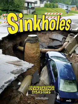 sinkholes book cover image
