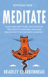 Meditate synopsis, comments
