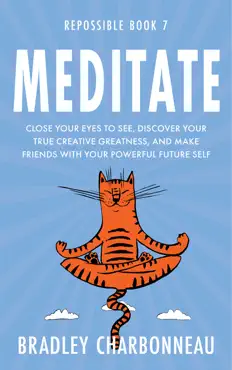 meditate book cover image