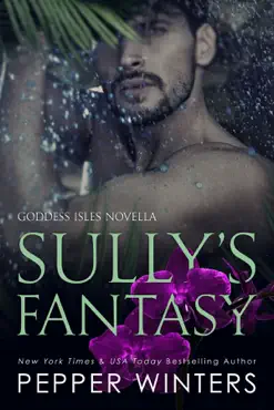 sully's fantasy book cover image