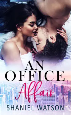 an office affair book cover image