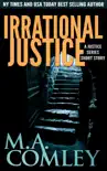 Irrational Justice - a quick page-turner synopsis, comments