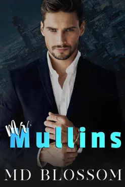 mr mullins book cover image