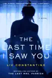 The Last Time I Saw You synopsis, comments
