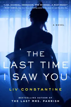 the last time i saw you book cover image