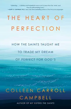 the heart of perfection book cover image