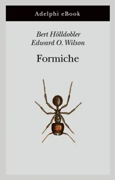 formiche book cover image