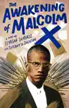 The Awakening of Malcolm X synopsis, comments
