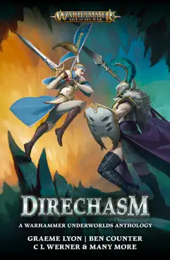 direchasm book cover image