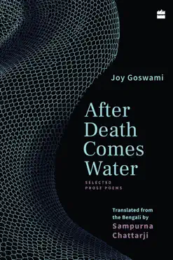 after death comes water book cover image