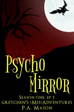 psycho mirror book cover image