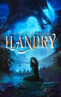 llandry book cover image