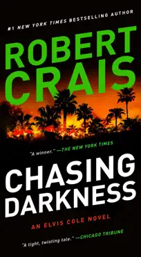 chasing darkness book cover image