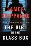 The Girl in the Glass Box synopsis, comments