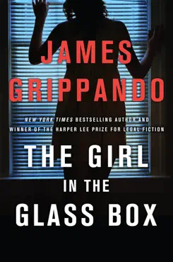the girl in the glass box book cover image