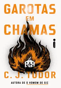 garotas em chamas book cover image