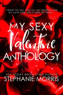 my sexy valentine book cover image