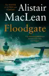 Floodgate synopsis, comments