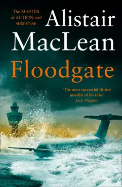 floodgate book cover image