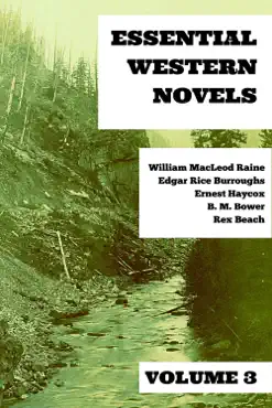 essential western novels - volume 3 book cover image
