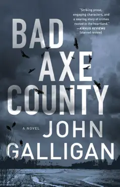 bad axe county book cover image