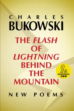 the flash of lightning behind the mountain book cover image