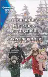 A Temporary Christmas Arrangement synopsis, comments