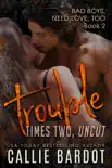 Trouble Times Two synopsis, comments