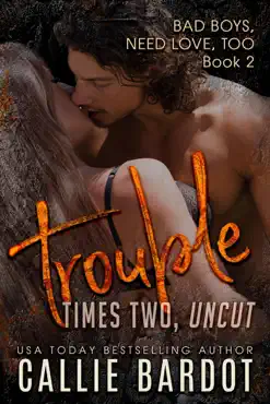 trouble times two book cover image