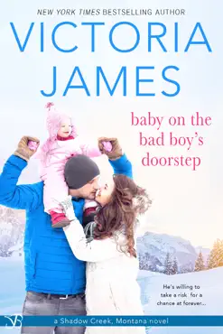 baby on the bad boy’s doorstep book cover image