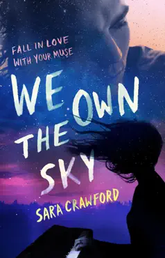 we own the sky book cover image