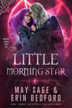 little morning star book cover image